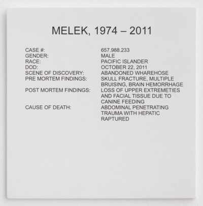 melek-sign